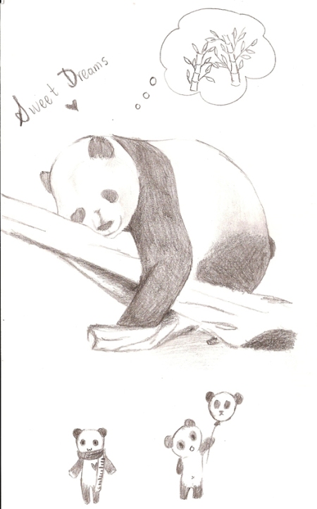 panda dream copy